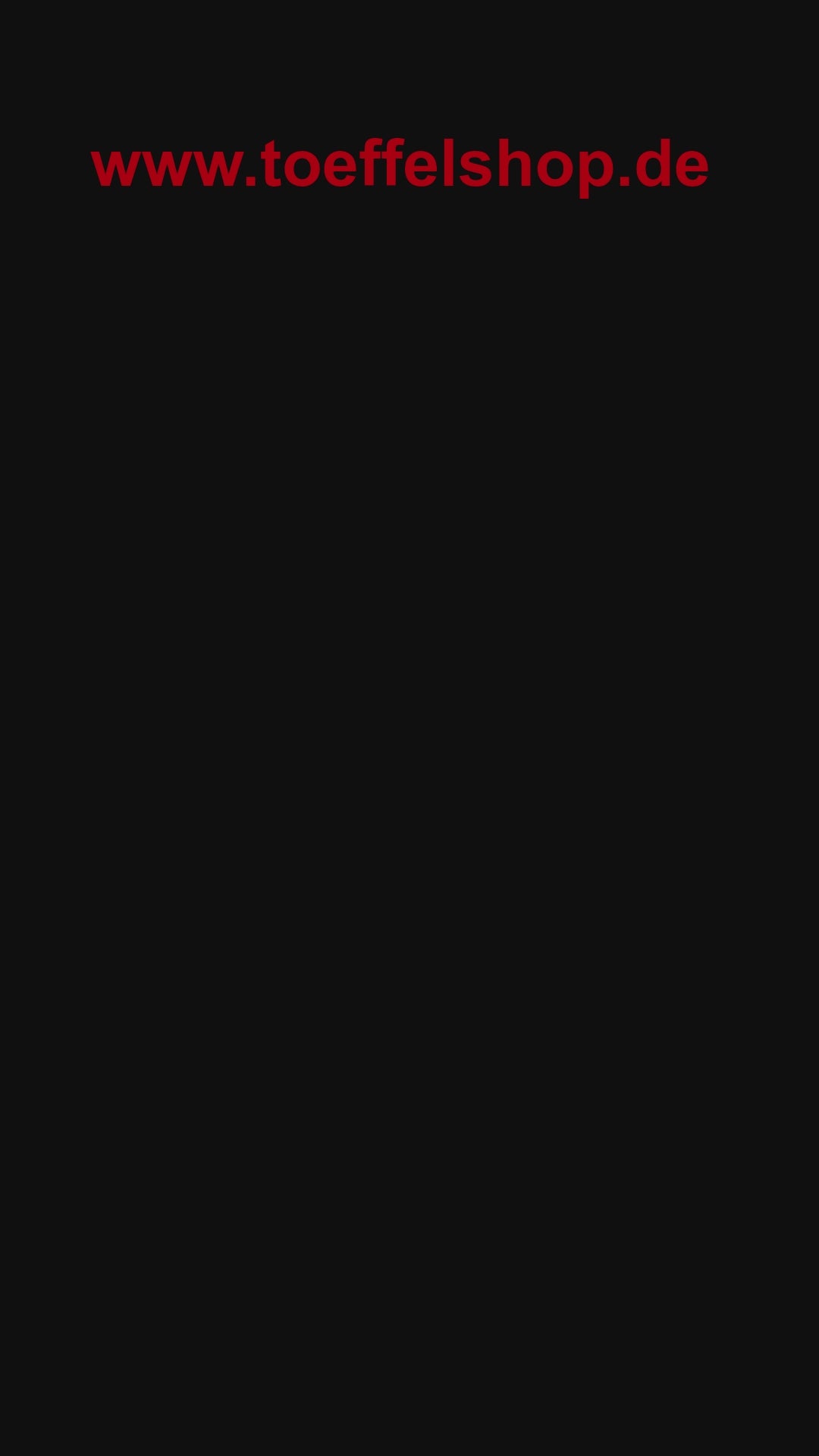 kurze Videobeschreibung